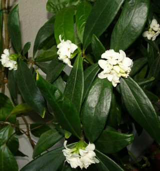 _20170308_012005 _20170308_012005