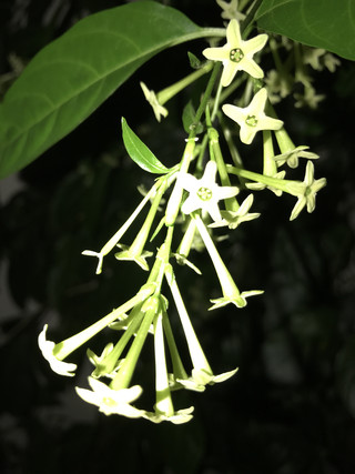 8ec043b316094d0099364a705efc7ffe