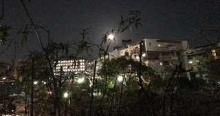 5b13403cf9e34cdf811480384f920e6c