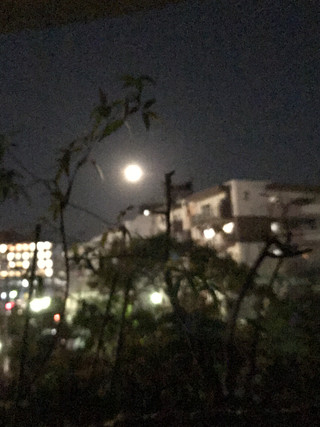 7821257689aa4552880a0bf0248a94a5