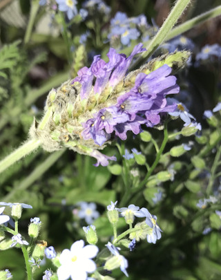 598418542a094e4587d49f12991180d0