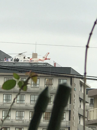 6b4dba99c44c465fa332c63d8bc91273