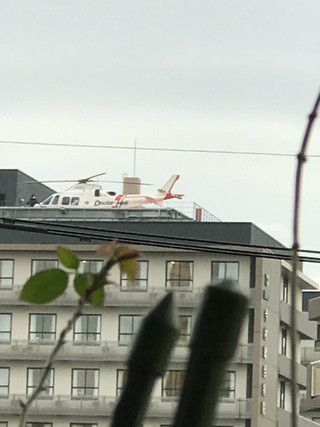 8b572cd2c2764280b852a269c7ad4113