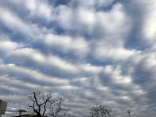 C6a20d881cdc45d6b44b8ebb0ea3b267