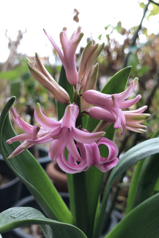 De054a70ee8f4b3db3ede23f5f680346