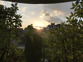 1291b65b84e54d25a9cb37e20947a18a