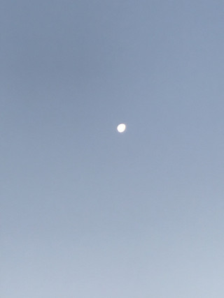 98780b70ff3a4f1aaaab7c7a0825d28b