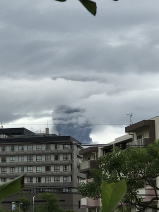 8f870e797a42481180effb24e1e8559f