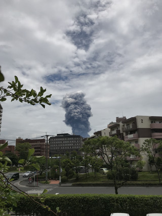 D6e66851963d409eab47b26c2a4c7afa