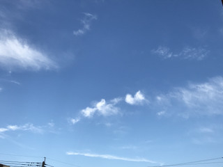 55fdad79b2994de499d310464b979b16