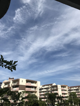 9476b21af26d48a9a6fd5fa7e467e2dd