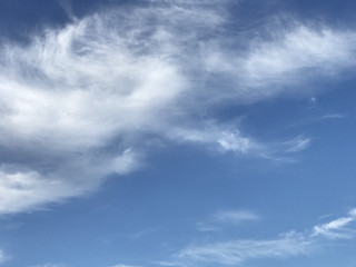 F1749ce961c1448b82ec09424dcd58d0