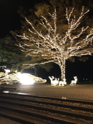 4663794fbbf04811ac2c9df1ec373c07