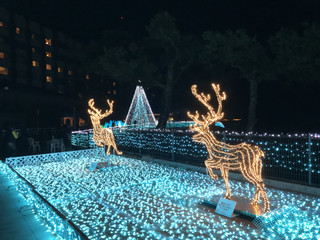 45766a65714a4bbc9c3d5bd3c9022eb1