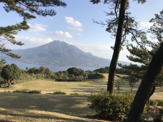 5bdefe014f674fba87c8784ff1dfb7bd