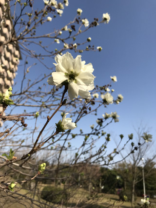 39cfc3f577a544ecac9af01d24f410a5