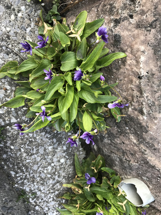 B6dd6beb1dc946b4be1c1a80ba7af182