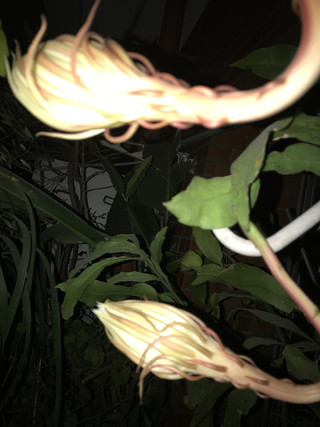 1da6f9d57b224105afa6da05496765d5