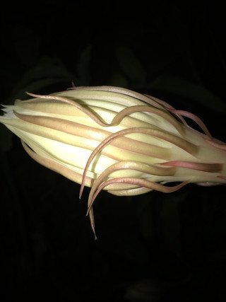 91d2ef30d76b448eb7e589b557f06e49