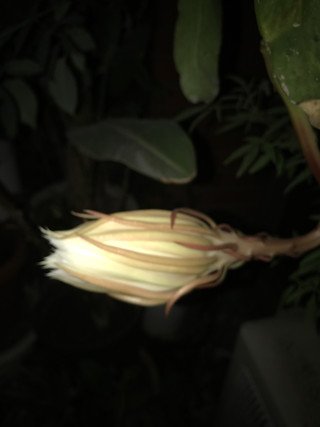 Fb3f55c28ed74ad6aa69278ca47bfc47