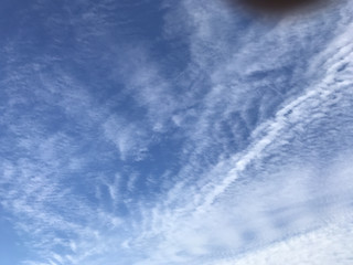 23380acfc3d7405091f4ca94c9543589