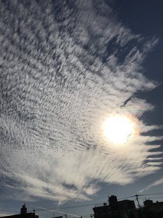 383a03eaf9374b06adc29f6f5aa88be4