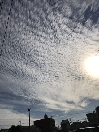 4f24d197623b4a57a225848c99348a90