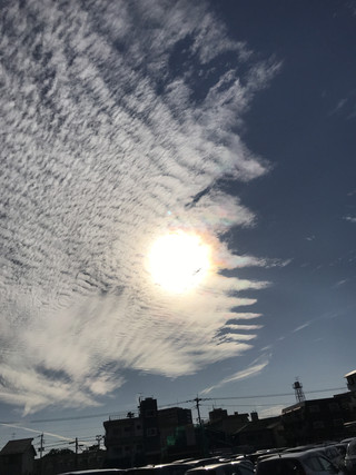 5f22683e46a744898284e5075225610d