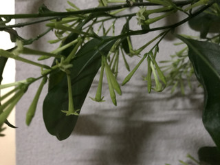 81f584a5151e4b3d898493ce7dd9ff29