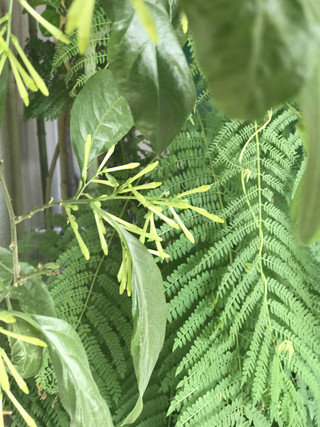 99338cdec6354e35831dd673a759179b