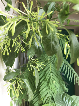 A4526811182b4fd094bae35c987ca376