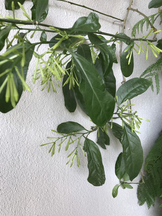 D84990070fb64d3fa546edbc5f4bf786