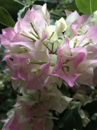 16db48f6532448a3afda43b6bc83b42b