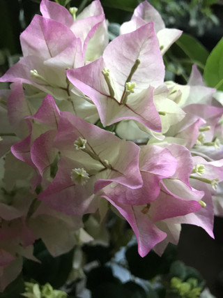 247b133fe55741b5907d6c5fd905b44d