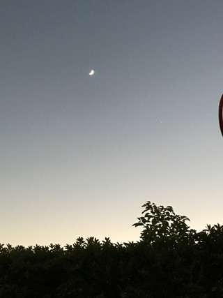 32508ae2ec6043e283f1f67918ec563f