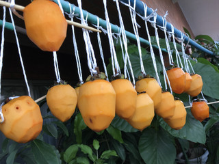 322e7733b2c442389de52bd05b3dad1e