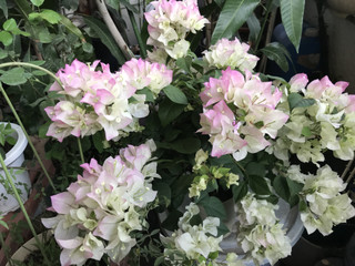 Ad453b5b457e43fcbb32e7a2d878e71b