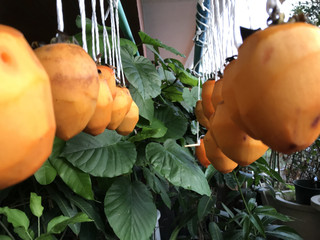 C43aede17dd843c5b69faa44fcd700a6