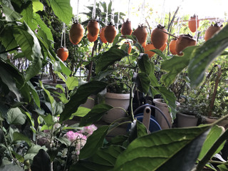 D8b01b9adef84a1dbf7edbae5beddc01