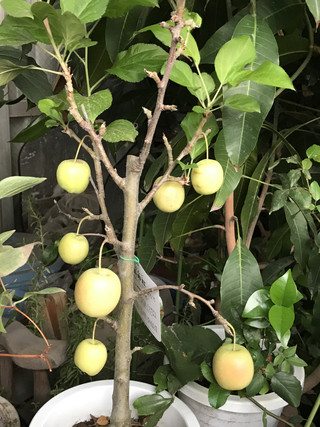 E5afa3d4d04e47aea5f2f7814f542ed6