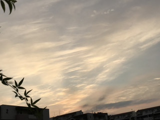 F64562362eed4804811320735a084340