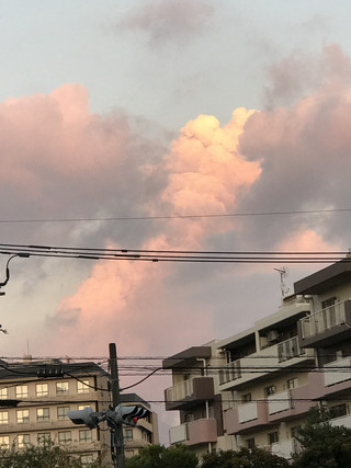 026a5cd2c1d1449e8094e236d154c55a