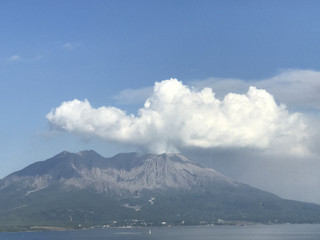 838ed75bc5a14296a85a85683c50cb22