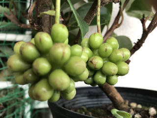 D4ad4a8e5024437c8c0001b0049391b6