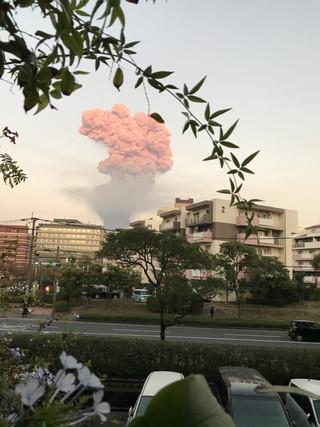 015d8ad53ba0442dab9fa66776bc9a24