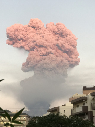 4d0d825e53ed4041a98240fcfab8b320