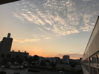 3878caea187646aab0473100d7cf94bc