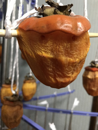 753efc6600be4a49acaf1657d9d86ba1