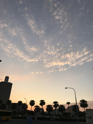 A9a4c886c2424d41a679ffea78481cdc