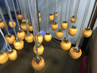 Cee7c1a8dc70486c988a1d845057e401